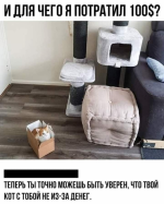 1637569698541.png
