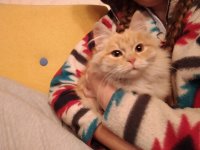 IMG_20211120_201041.jpg