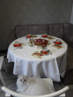 1651039367705.png