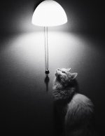 IMG_20220513_232138.jpg