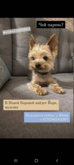 1653580421262.png