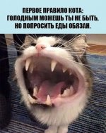 A96D0BC3-EC92-4F44-8426-1C6443C630FA.jpeg
