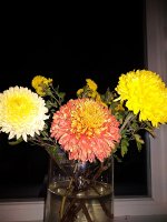 IMG_20221030_185218.jpg