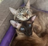 IMG_2320.jpeg