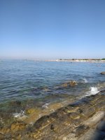 IMG_20230822_103800.jpg