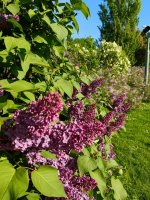 IMG20250420165110.jpg
