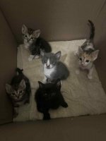 IMG_2254.jpeg