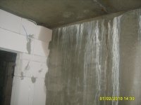 S8005852.JPG