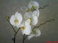 DSC00643.JPG