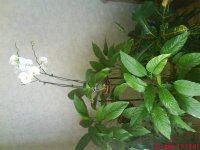 DSC00644.JPG