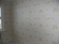 IMG_4285_измен.размер.jpg