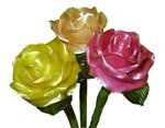 roses.jpg