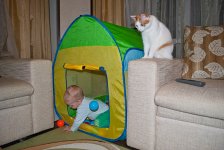 DSC_2556.jpg