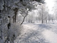 IMG_0598.jpg
