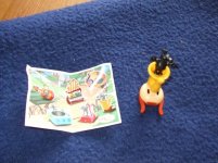 DSCF8119.JPG