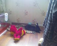 SP_A0112.jpg