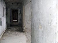 DSCF1622.jpg