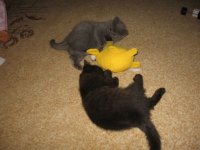IMG_60292.jpg