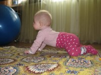 IMG_0428.jpg