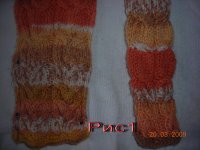 DSCN5847.jpg