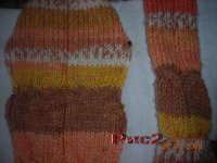 DSCN5848.jpg
