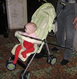 в коляске с удочкой.jpg