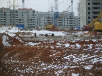 S8003744.JPG