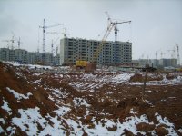 S8003745.JPG