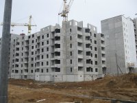 IMG_1654_1.jpg