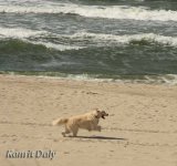 1IMG_9216 copy.jpg