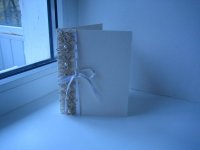 IMG_3724.jpg
