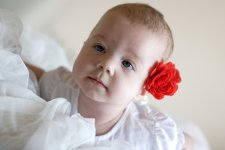 IMG_9947k copy.jpg
