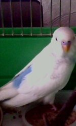 IMG0126A.jpg