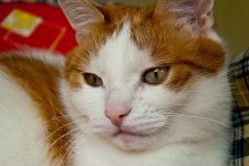 DSC_3026_2.jpg