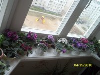 100_7006_resize.JPG 100_7006_resize.JPG