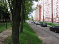 IMG_8778.jpg
