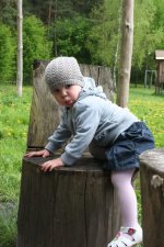 IMG_2677_resize.JPG