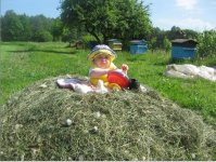 высоко сижу далеко гляжу.JPG