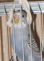 IMG_2666.jpg