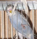 IMG_2679.jpg