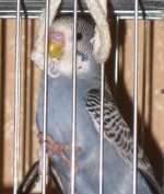 IMG_2691.jpg