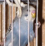 IMG_2694.jpg