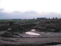 IMG_7226 (Medium).jpg