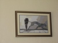 Девушка-кошка.jpg