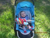 IMG_1270.jpg
