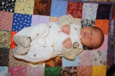 IMG_8619a.jpg