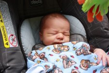 IMG_8593a.jpg