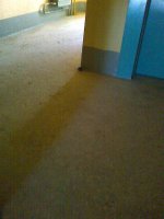 Фото0502.jpg