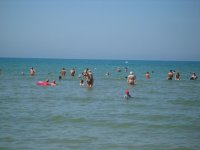 S8000281.JPG