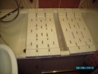 PICT0502.JPG